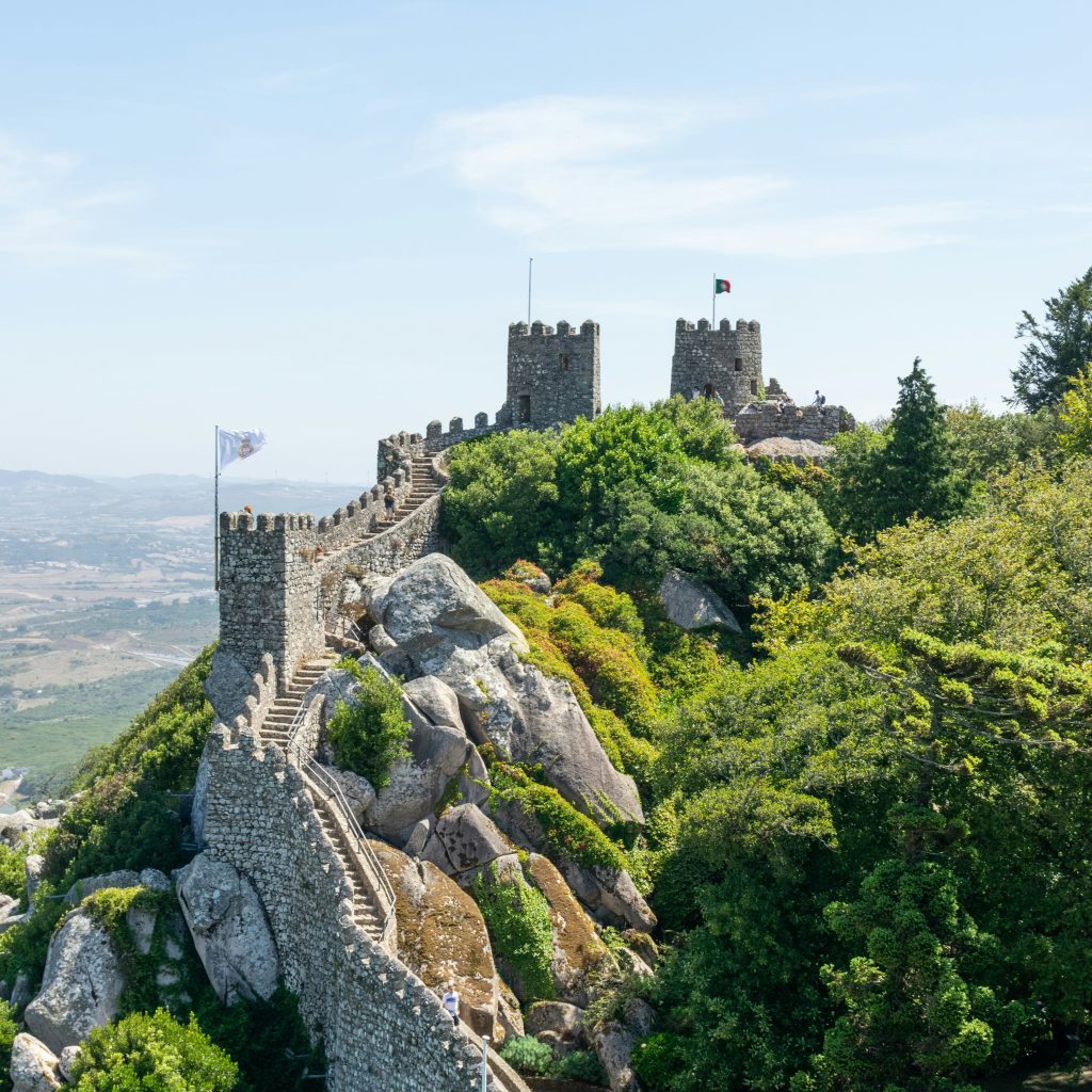 dominik-dancs-rm-rnNlagxo-unsplash-min